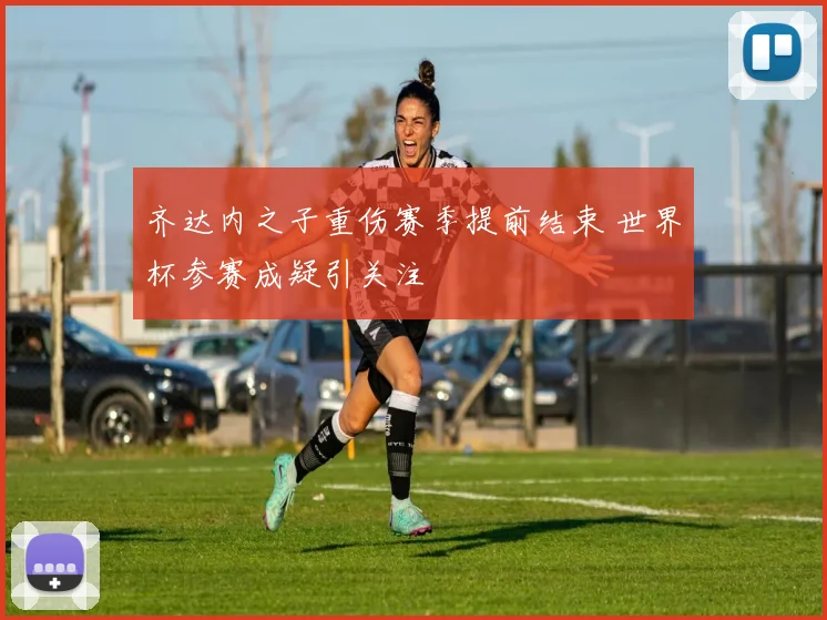 齐达内之子重伤赛季提前结束 世界杯参赛成疑引关注