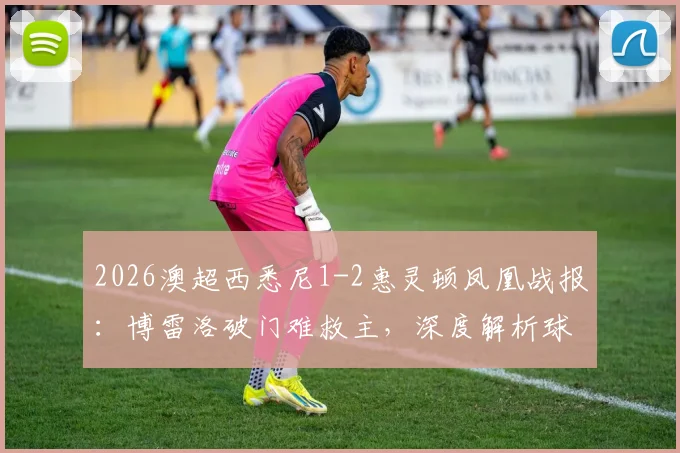 2026澳超西悉尼1-2惠灵顿凤凰战报：博雷洛破门难救主，深度解析球队垫底根源与积分榜走势